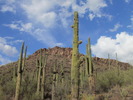 photo thumbnail #1
