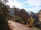 photo thumbnail #5