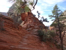 photo thumbnail #6