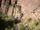photo thumbnail #15