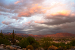 photo thumbnail #8
