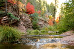 photo thumbnail #5