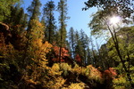 photo thumbnail #6