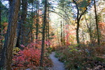 photo thumbnail #9