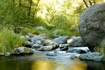 photo thumbnail #11