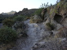photo thumbnail #1