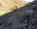 photo thumbnail #13