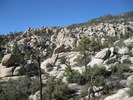 recent photo