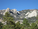 recent photo