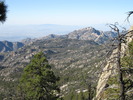 recent photo