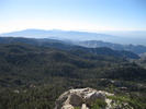 recent photo