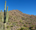photo thumbnail #2