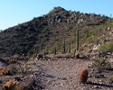 photo thumbnail #9