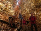 photo thumbnail #8