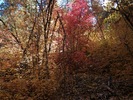 photo thumbnail #10