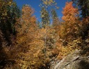 photo thumbnail #12