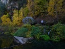 photo thumbnail #12