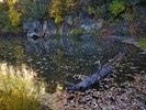 photo thumbnail #14