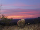 photo thumbnail #3