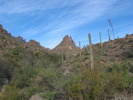 photo thumbnail #11
