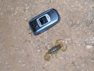 photo thumbnail #2