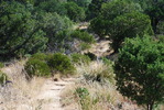 photo thumbnail #10
