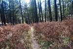 photo thumbnail #15