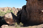 photo thumbnail #4