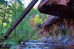 photo thumbnail #8