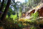 photo thumbnail #9
