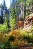 photo thumbnail #11