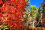 photo thumbnail #13