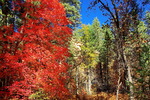 photo thumbnail #15