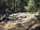 photo thumbnail #2