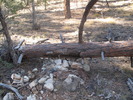 photo thumbnail #3