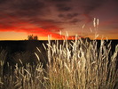 photo thumbnail #14