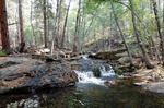photo thumbnail #2