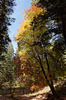 photo thumbnail #12