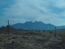 photo thumbnail #1
