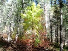 photo thumbnail #7