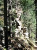 photo thumbnail #12