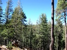photo thumbnail #15