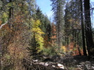 photo thumbnail #8