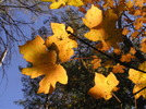 photo thumbnail #15