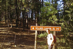 photo thumbnail #14