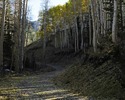 photo thumbnail #1