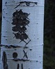 photo thumbnail #13