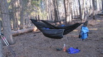 photo thumbnail #2