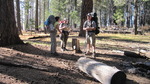 photo thumbnail #3