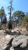 photo thumbnail #15